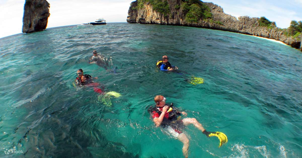 Phi Phi Adventure Snorkeling or Diving Experience from Krabi Klook India